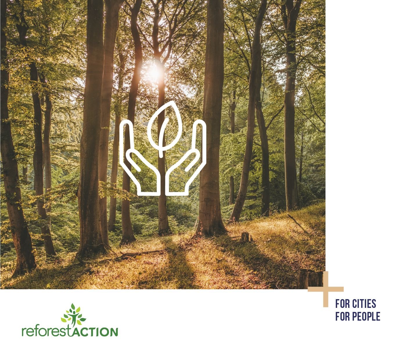 Immobel France renouvelle son engagement auprÃ¨s de Reforest'Action en plantant 2 000 arbres dans la forÃªt de Chantilly.ðŸŒ³ ðŸŒ¿
