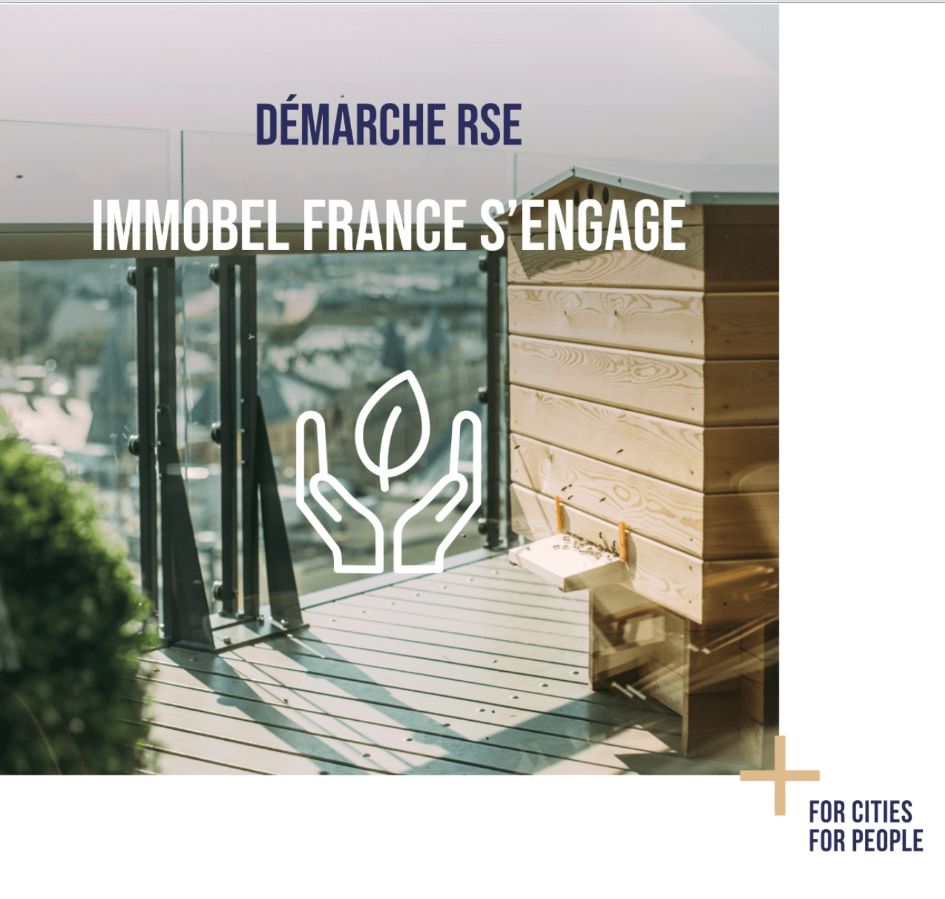 Afin de préserver la biodiversité, Immobel France s’engage auprès de l’association La Maison des Abeilles Heureuses, pour favoriser la protection et la démultiplication des abeilles. 🐝